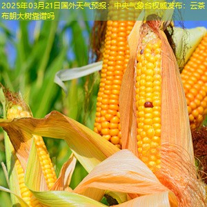 2025年03月21日国外天气预报：中央气象台权威发布