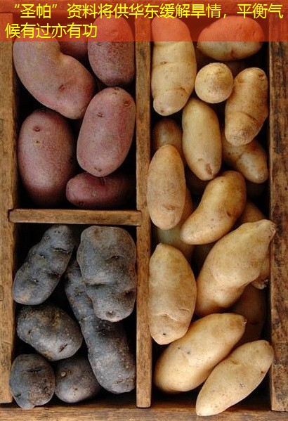 “圣帕”资料将供华东缓解旱情，平衡气候有过亦有功