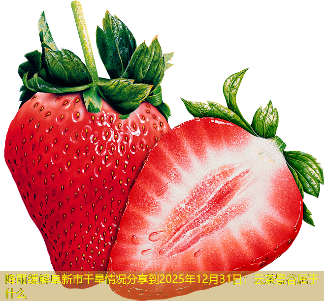 降雨缓解阜新市干旱情况分享到2025年12月31日