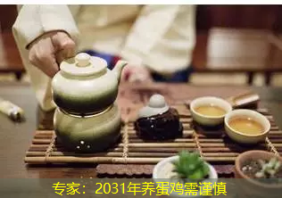 专家：2031年养蛋鸡需谨慎