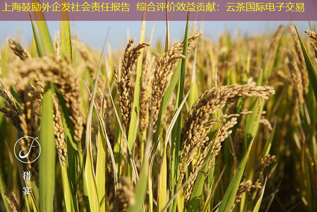 上海鼓励外企发社会责任报告 综合评价效益贡献