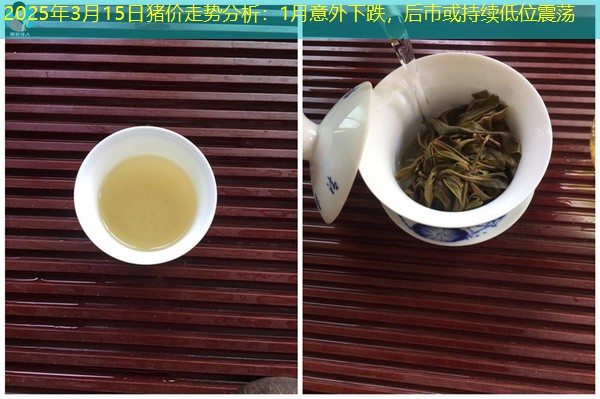 2025年3月15日猪价走势分析：1月意外下跌，后市或持续低位震荡
