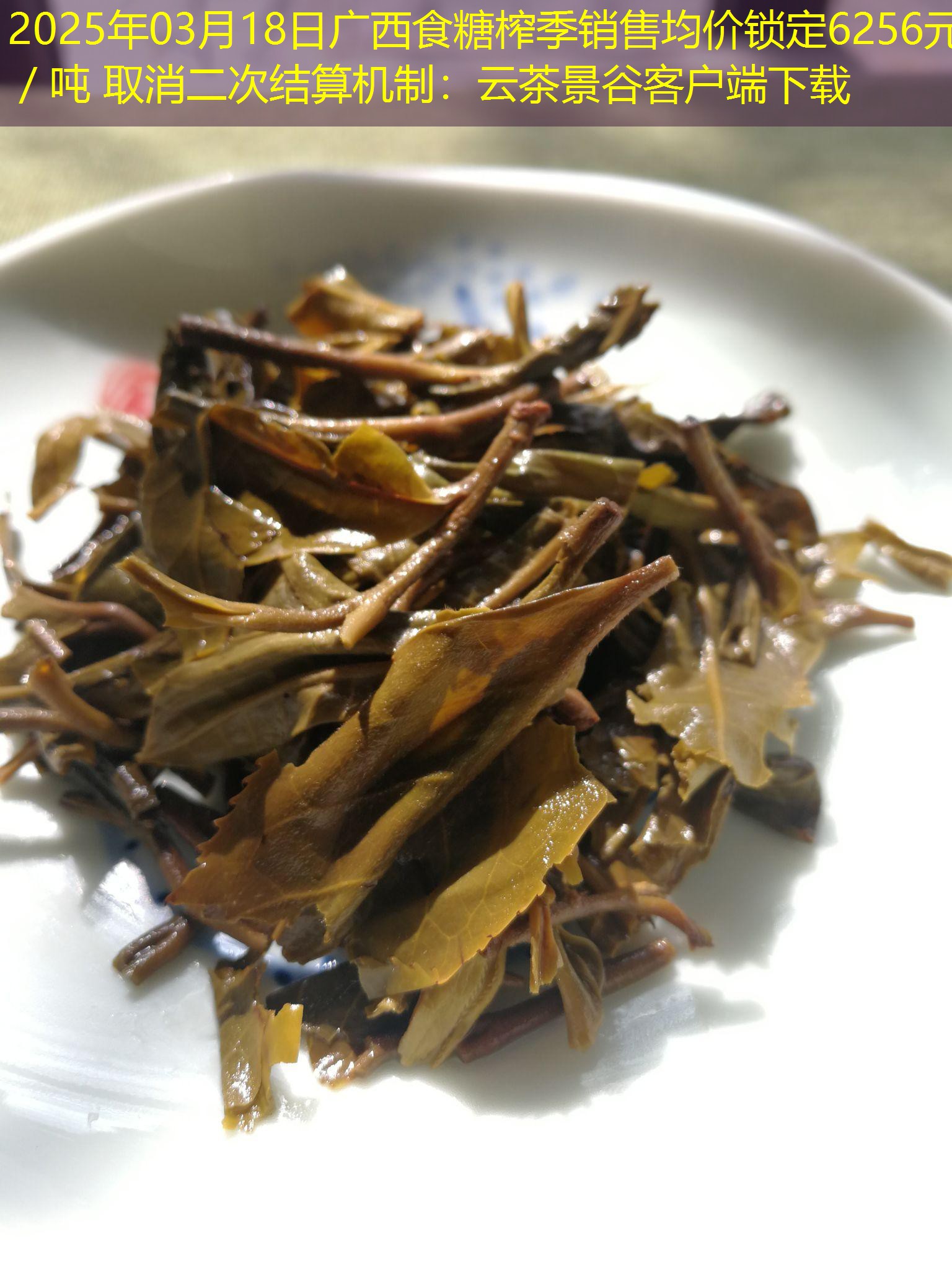 2025年03月18日广西食糖榨季销售均价锁定6256元／吨 取消二次结算机制