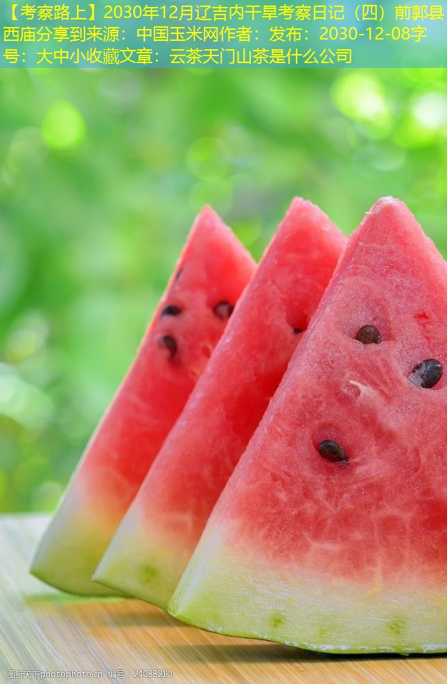 【考察路上】2030年12月辽吉内干旱考察日记（四）前郭县西庙分享到来源：中国玉米网作者：发布：2030-12-08字号：大中小收藏文章