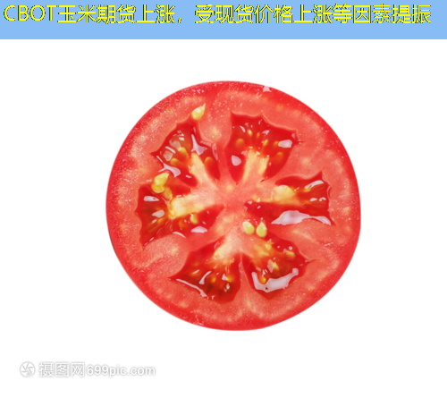 CBOT玉米期货上涨，受现货价格上涨等因素提振