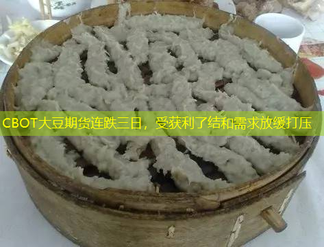 CBOT大豆期货连跌三日，受获利了结和需求放缓打压