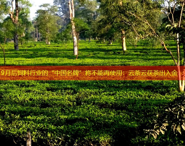 9月后饲料行业的“中国名牌”将不能再使用