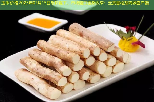 玉米价格2025年03月15日急转直下，市场窗口逐渐收窄