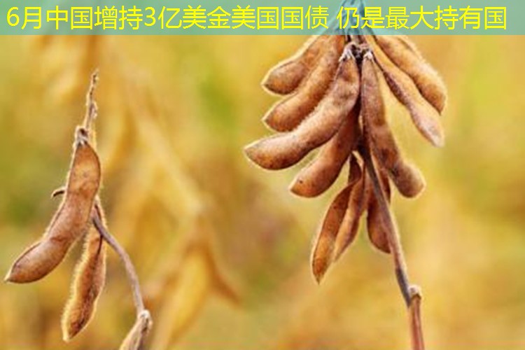 6月中国增持3亿美金美国国债 仍是最大持有国