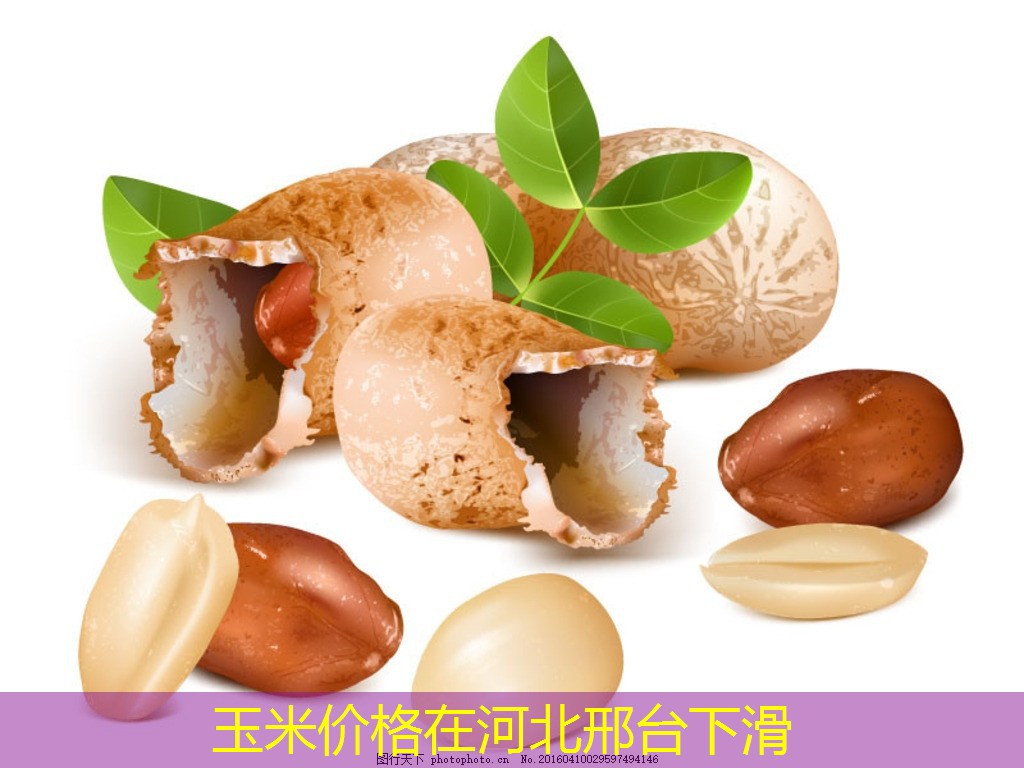 玉米价格在河北邢台下滑