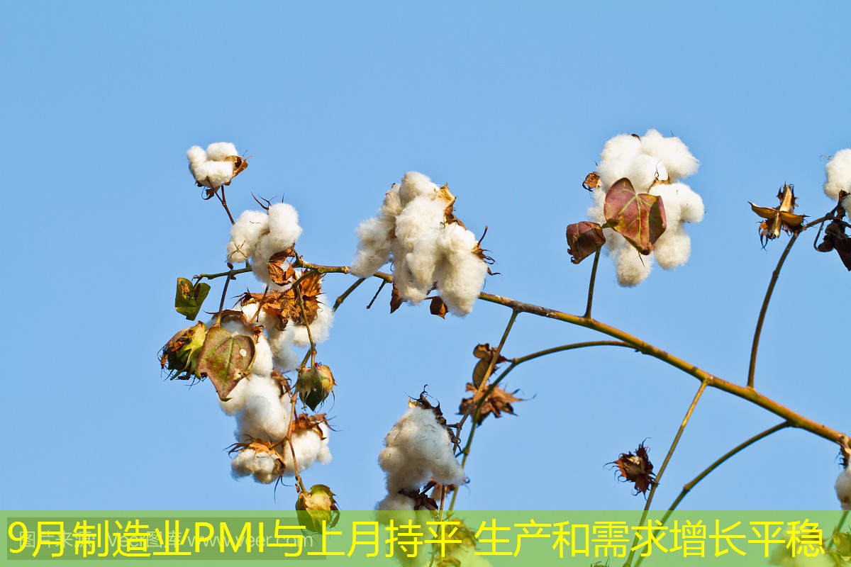 9月制造业PMI与上月持平 生产和需求增长平稳