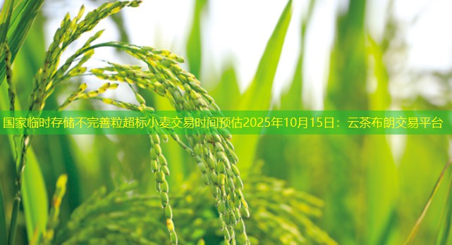 国家临时存储不完善粒超标小麦交易时间预估2025年10月15日