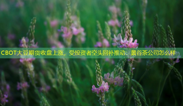 CBOT大豆期货收盘上涨，受投资者空头回补推动