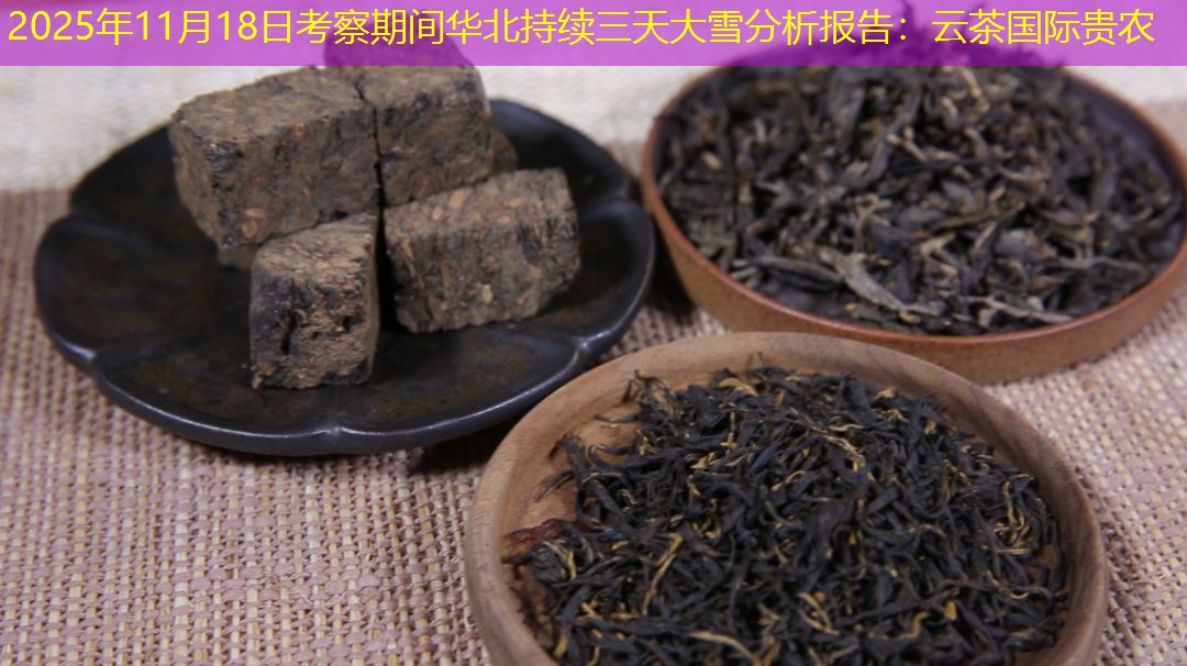 2025年11月18日考察期间华北持续三天大雪分析报告