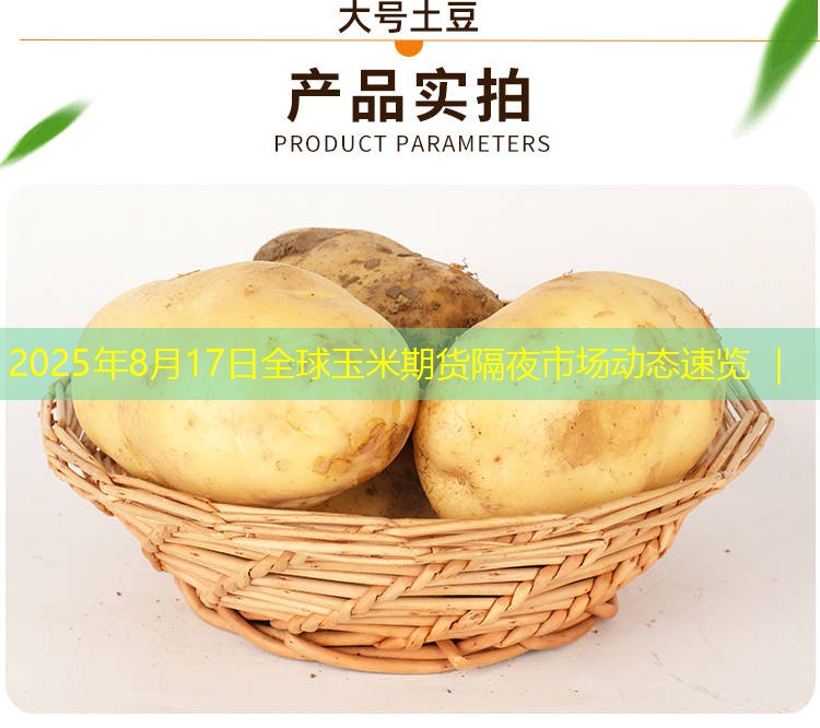 2025年8月17日全球玉米期货隔夜市场动态速览 ｜