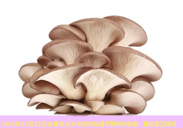 2025年03月22日全国农业农村经济延续平稳向好态势