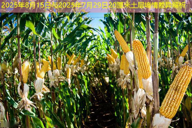 2025年8月15日与2025年7月29日20厘米土层墒情差异解析