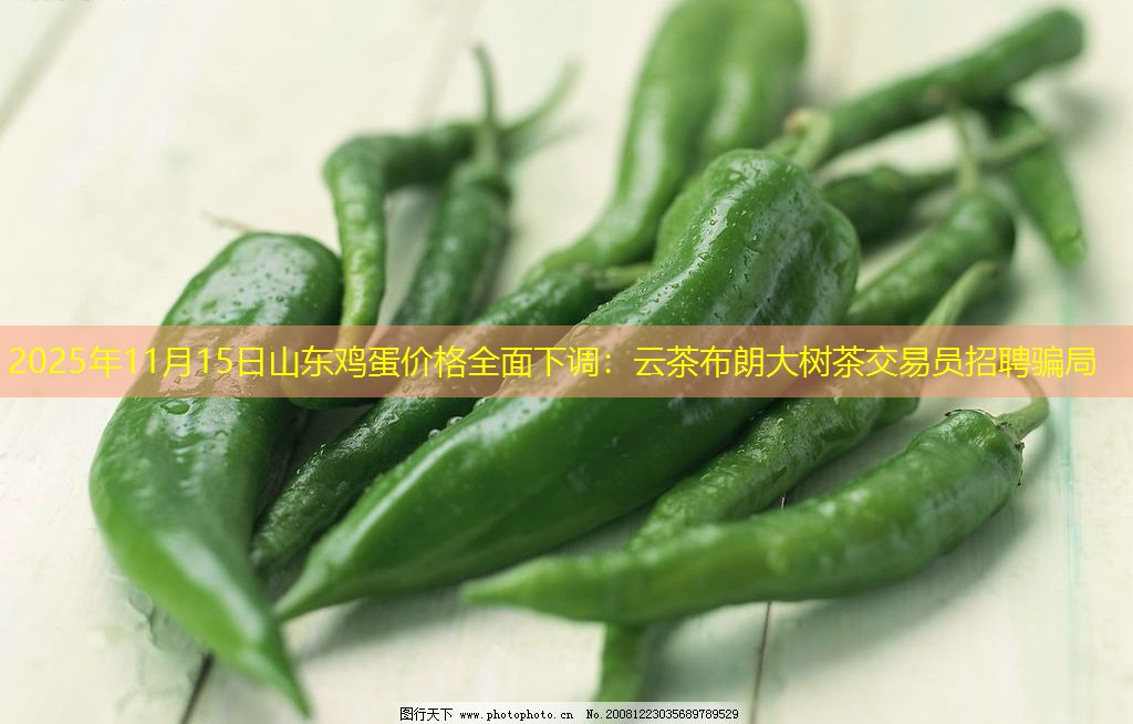 2025年11月15日山东鸡蛋价格全面下调