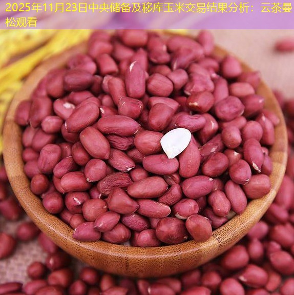 2025年11月23日中央储备及移库玉米交易结果分析