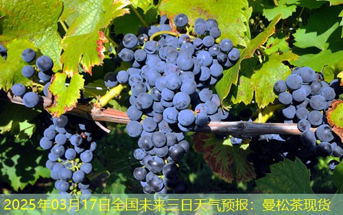 2025年03月17日全国未来三日天气预报