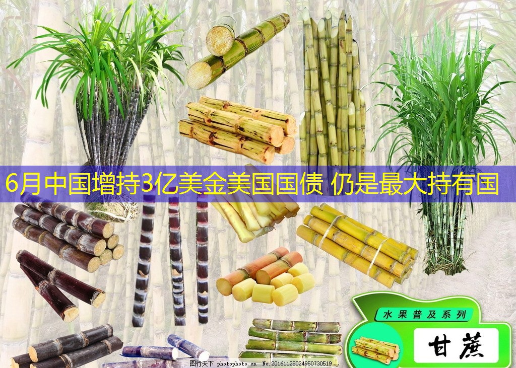 6月中国增持3亿美金美国国债 仍是最大持有国