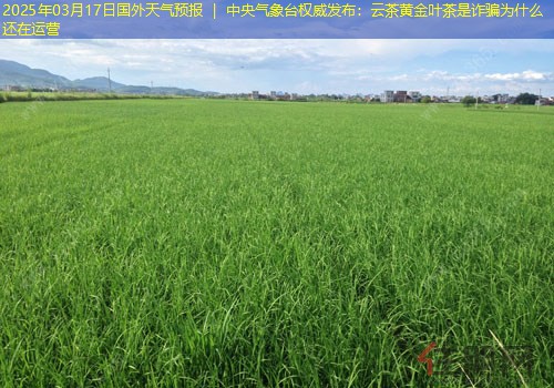 2025年03月17日国外天气预报 ｜ 中央气象台权威发布