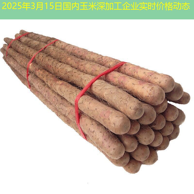 2025年3月15日国内玉米深加工企业实时价格动态