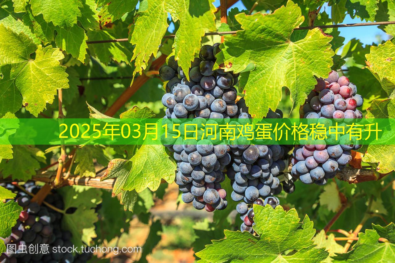 2025年03月15日河南鸡蛋价格稳中有升