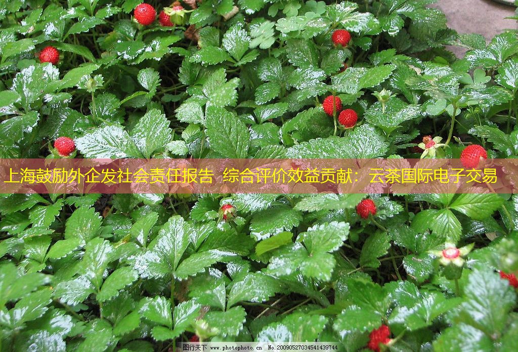 上海鼓励外企发社会责任报告 综合评价效益贡献