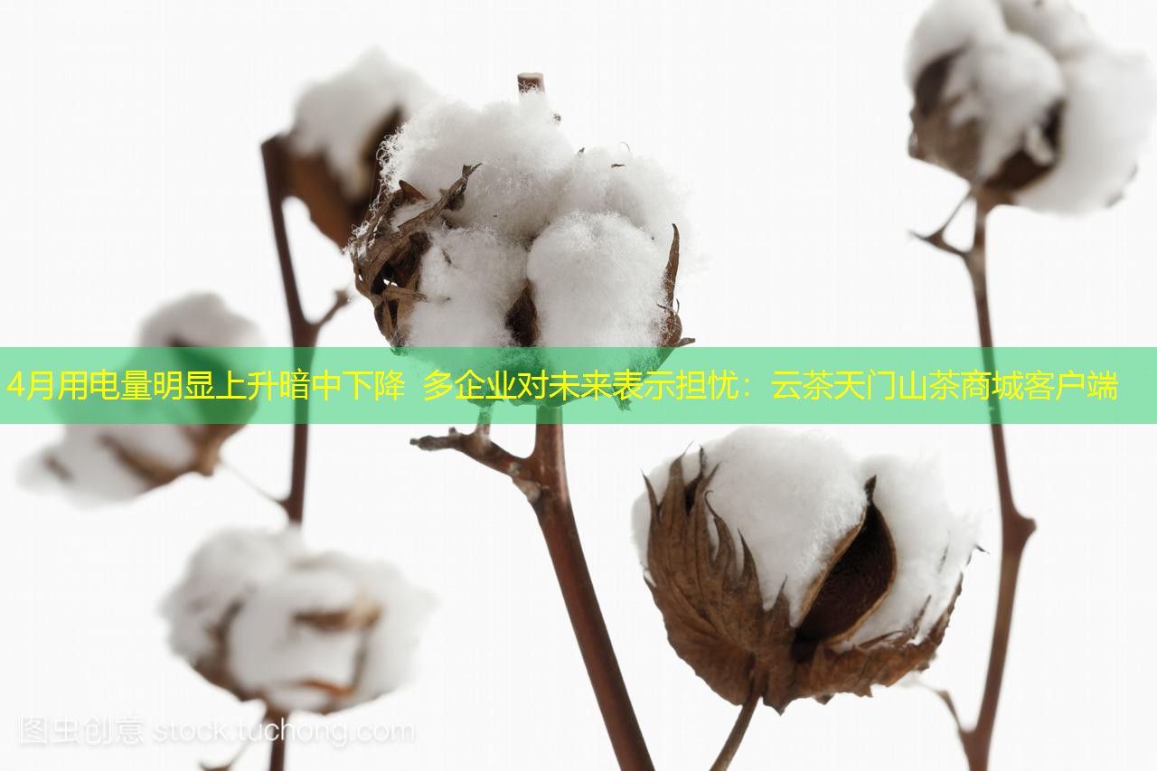 4月用电量明显上升暗中下降 多企业对未来表示担忧