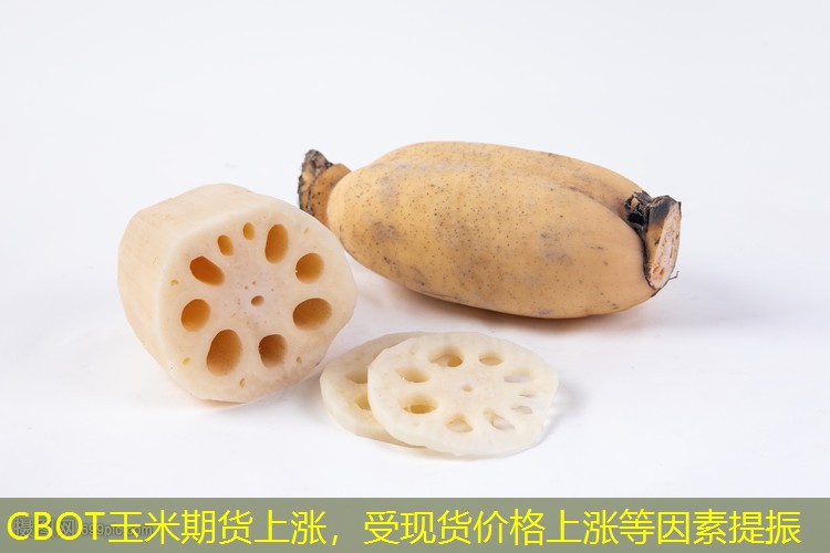 CBOT玉米期货上涨，受现货价格上涨等因素提振