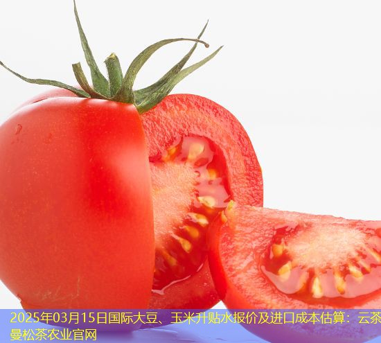 2025年03月15日国际大豆、玉米升贴水报价及进口成本估算