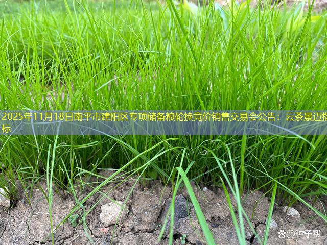 2025年11月18日南平市建阳区专项储备粮轮换竞价销售交易会公告