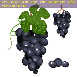 2025年10月15日CBOT评论：CBOT玉米期货下跌，因美元上涨和乙醇产量下降