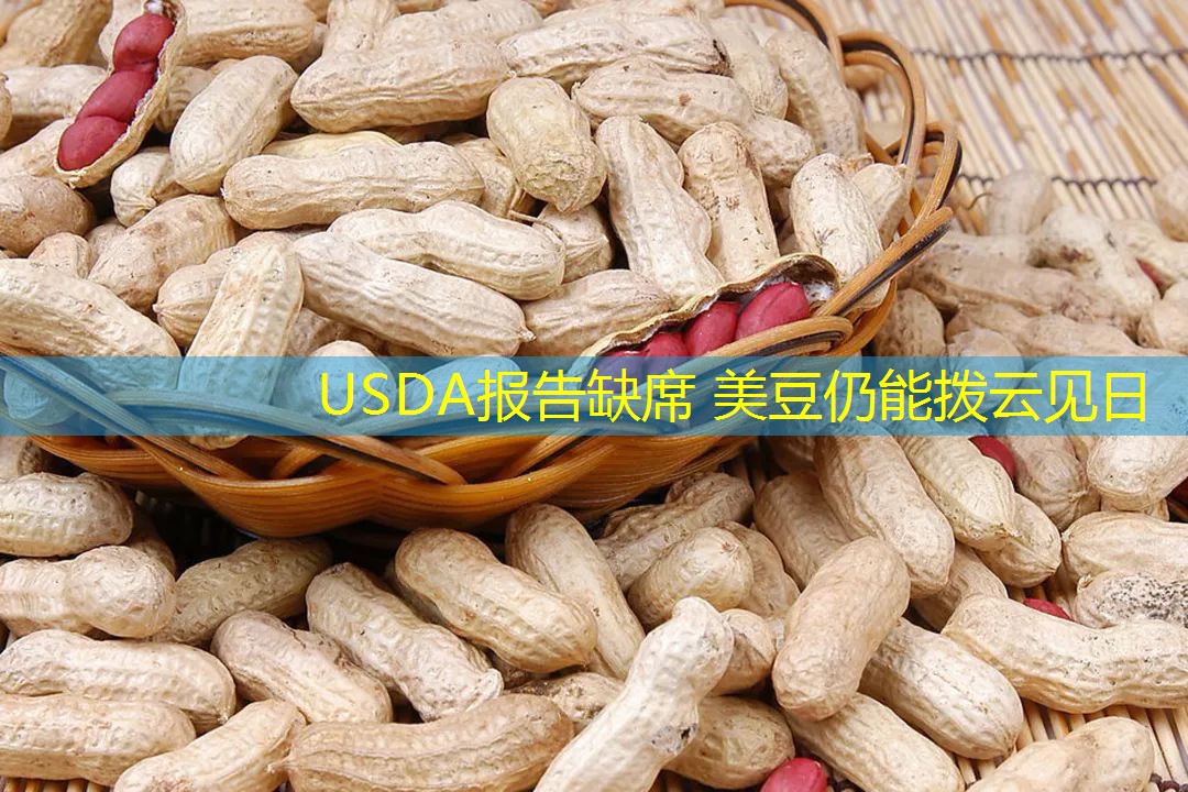 USDA报告缺席 美豆仍能拨云见日