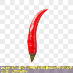 2025年11月18日南平市建阳区专项储备粮轮换竞价销售交易会公告