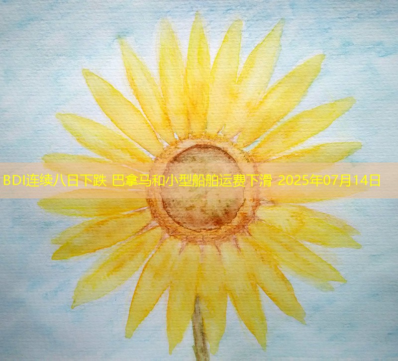 BDI连续八日下跌 巴拿马和小型船舶运费下滑 2025年07月14日