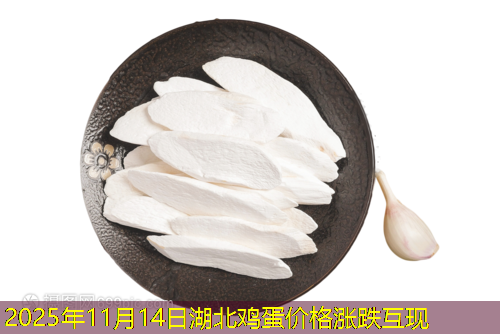 2025年11月14日湖北鸡蛋价格涨跌互现