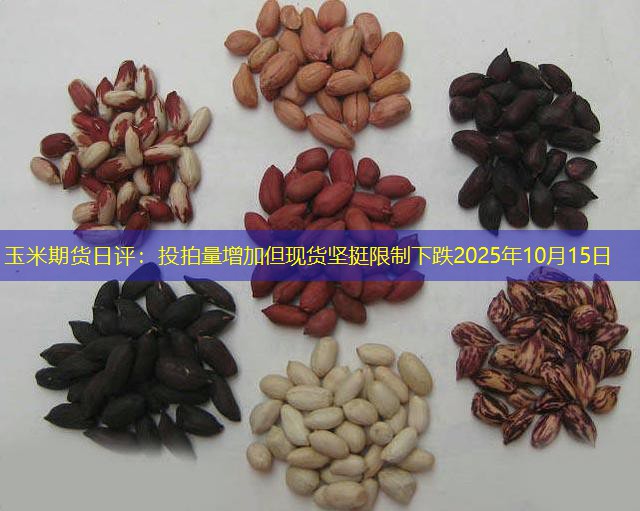 玉米期货日评：投拍量增加但现货坚挺限制下跌2025年10月15日