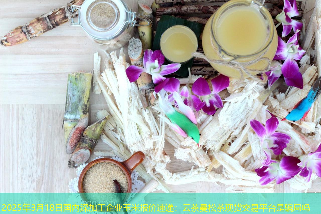 2025年3月18日国内深加工企业玉米报价速递