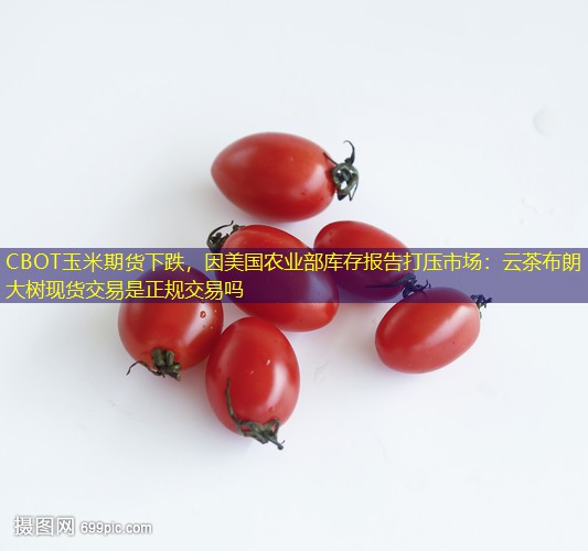 CBOT玉米期货下跌，因美国农业部库存报告打压市场