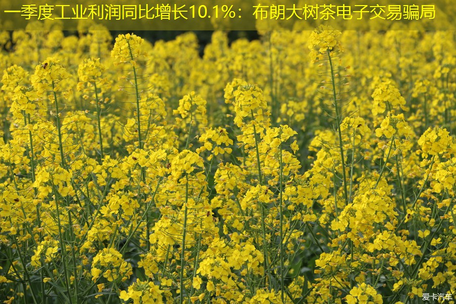 一季度工业利润同比增长10.1%