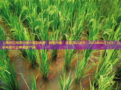 上海地区鸡蛋价格分享到来源：转载作者：信息员01发布：2031年05月16日