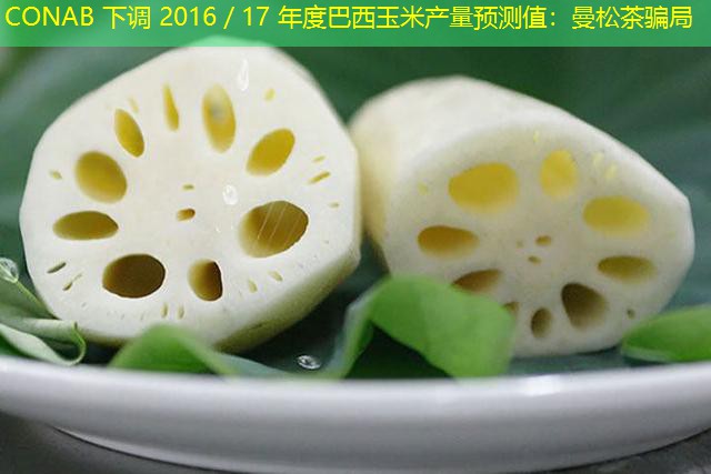 CONAB 下调 2016／17 年度巴西玉米产量预测值