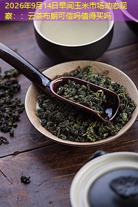 2026年9月14日早间玉米市场动态观察：