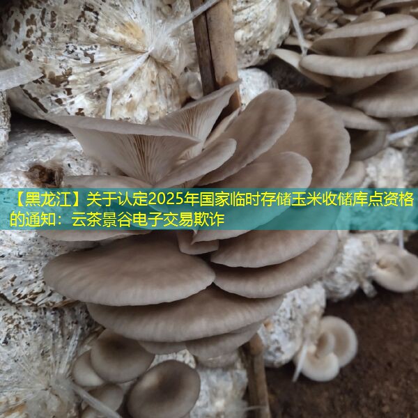 【黑龙江】关于认定2025年国家临时存储玉米收储库点资格的通知