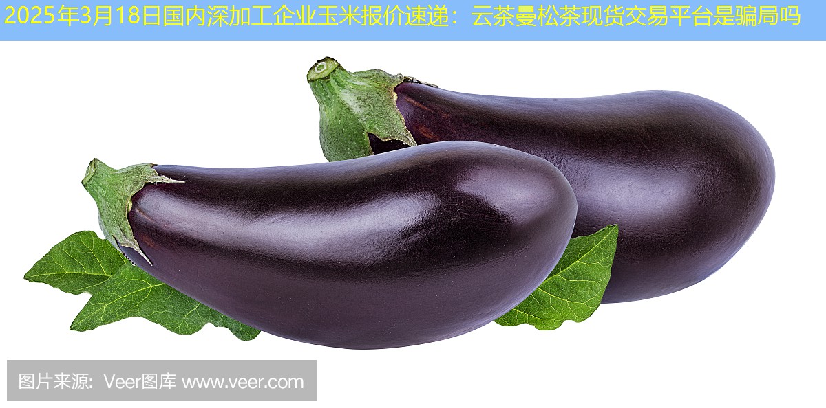 2025年3月18日国内深加工企业玉米报价速递