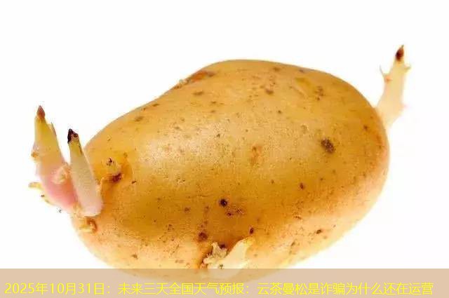 2025年10月31日：未来三天全国天气预报