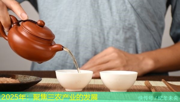 2025年：聚焦三农产业的发展