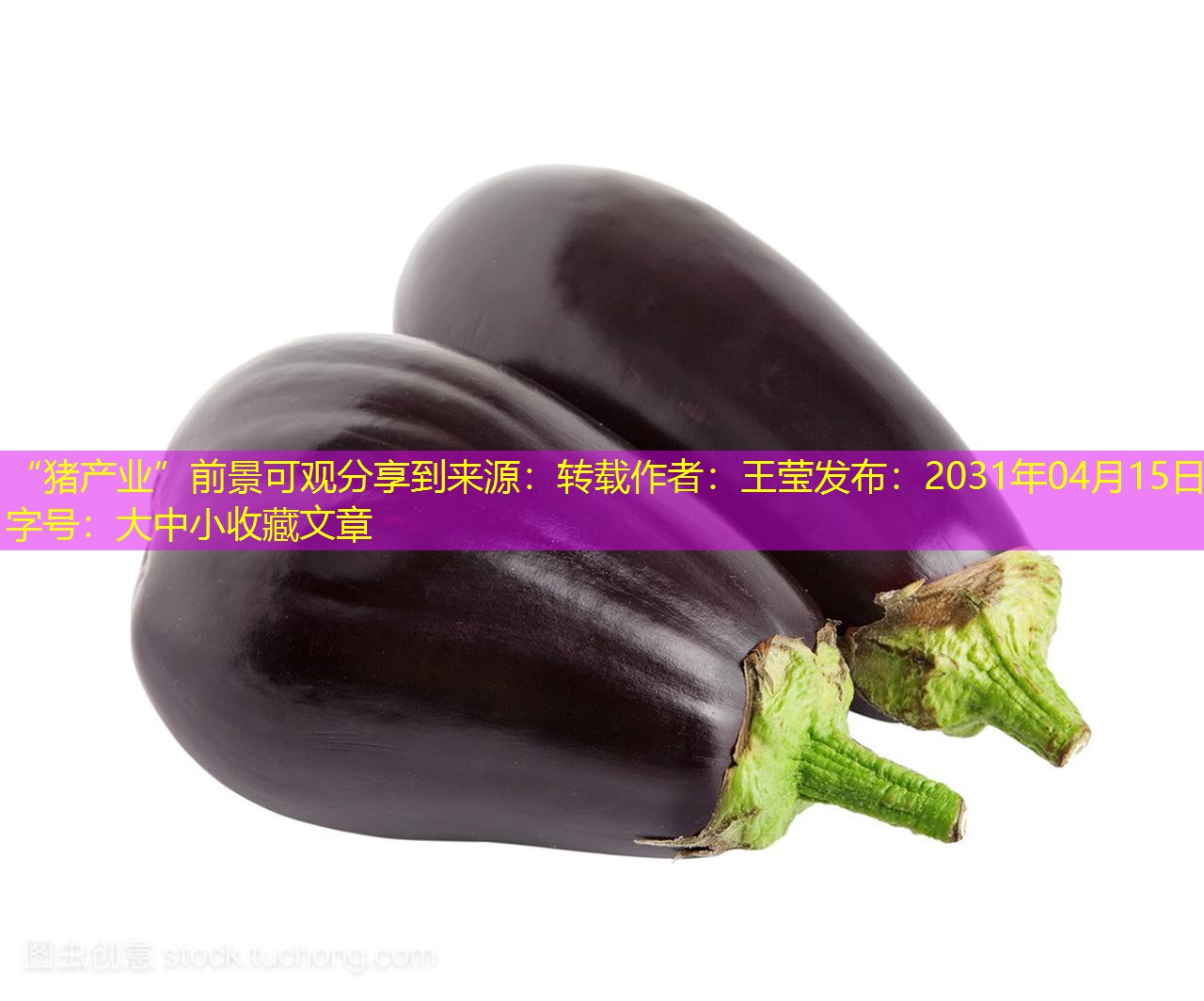 “猪产业”前景可观分享到来源：转载作者：王莹发布：2031年04月15日字号：大中小收藏文章